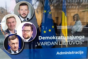 Kas vers naują Demokratų sąjungos „Vardan Lietuvos“ puslapį? Į pirmininkus taikosi keli kandidatai