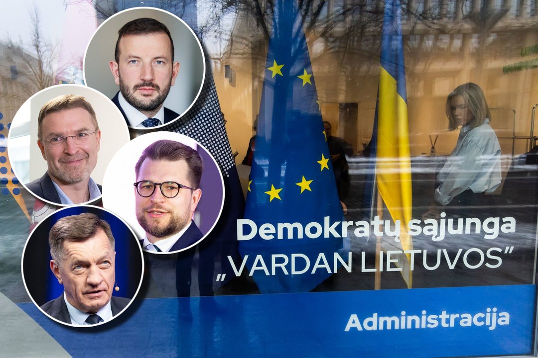 Kas vers naują Demokratų sąjungos „Vardan Lietuvos“ puslapį? Į pirmininkus taikosi keli kandidatai