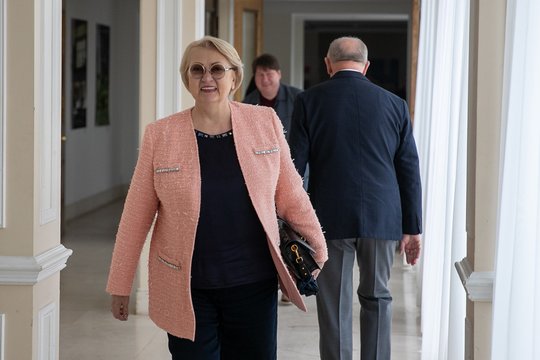 Seimo vicepirmininkams padalintos kuravimo sritys