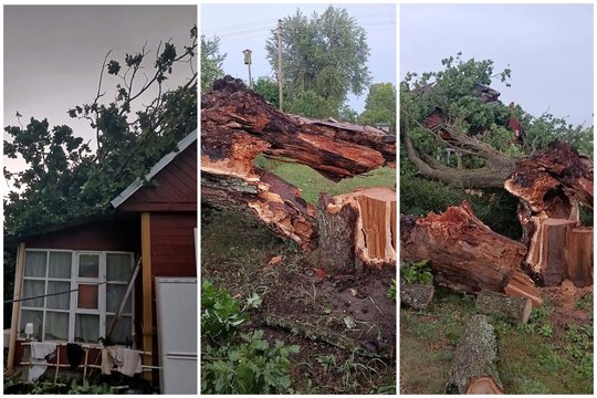 Įsismarkavusi vėtra Varėnos rajone ant namo nuvertė saugomą ąžuolą: kas žinoma