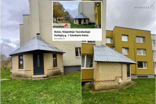 Tokio dar nematėte: Klaipėdoje parduodamas neįprastas butas