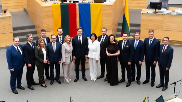  Viliasi M. Sinkevičiaus lyderystės, tačiau Vyriausybės programa kelia klausimų: to neturėtų būti