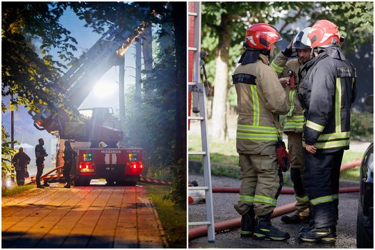 Iš degančio buto Vilniuje išgelbėti 4 katinai ir 2 šunys