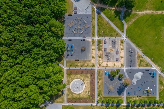 Pavasaris, vasara, ruduo ir žiema viename parke: Panevėžys sukūrė išskirtinę vietą