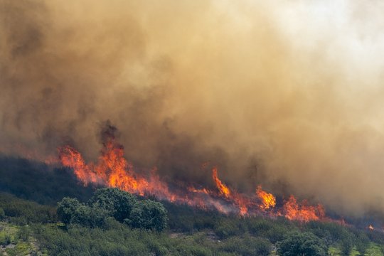 Šalia Madrido tebesiautėja liepsnos: virš 1 tūkst. žmonių jau teko palikti namus