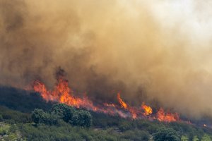 Šalia Madrido tebesiautėja liepsnos: virš 1 tūkst. žmonių jau teko palikti namus