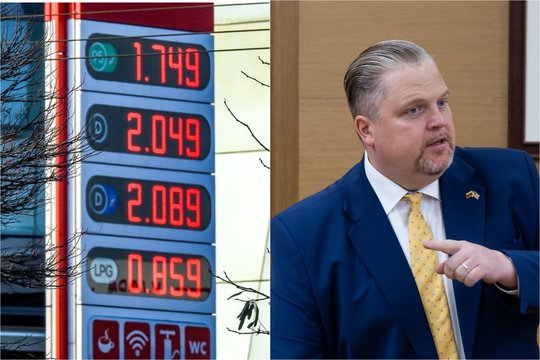 Ministras nurodė naftos kainą, kurią pasiekus gali būti mažinamas akcizas