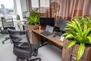 Ne tik žiemos problema: kodėl vasarą sausėja akys ir kuo čia dėta darbo aplinka?