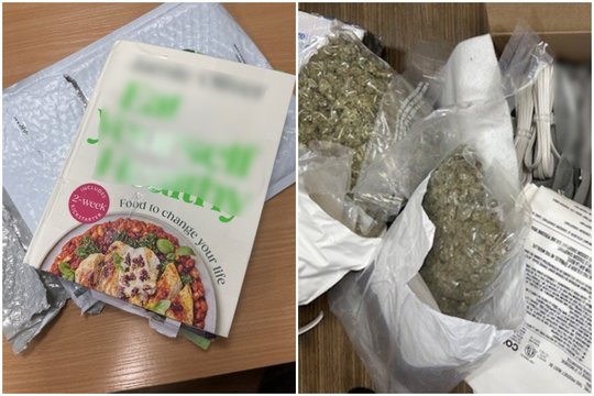 Vilnietis bedarbis dideliais kiekiais iš Kanados siuntėsi kvaišalus – jam sulaikyti prireikė pusmetį trukusio tyrimo