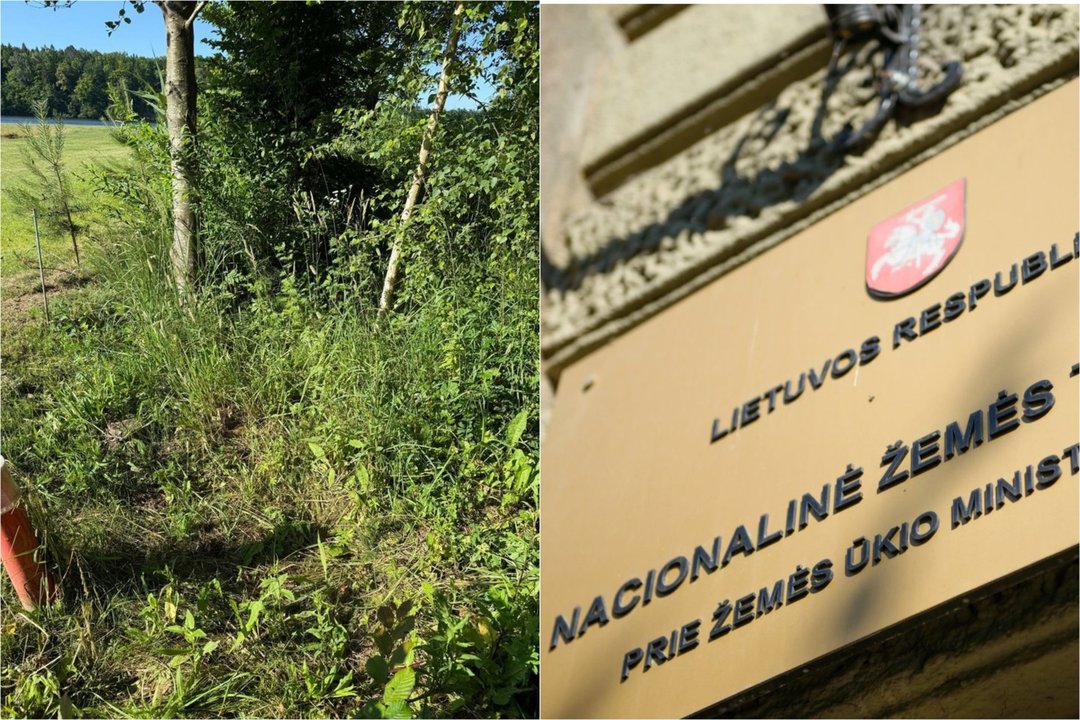 Dėl tiktai popieriuose keliu pavirtusios pievos – pjautynės net teismuose: prakalbo apie kerštą