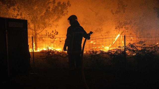Tikras košmaras Prancūzijoje: „Viskas išsilydė, 9 vištos sudegė“