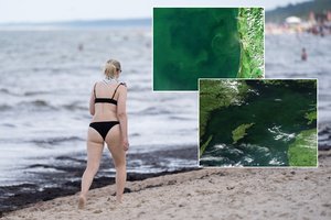 Po „žalių sūkurių“ Baltijos jūroje – mokslininko žodis: kada maudytis saugu, o kada pasisaugoti