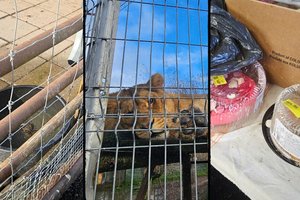 Po vizito – dar vienas AAD kirtis Klaipėdos zoologijos sodui
