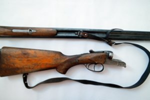 Alytaus rajone paveldėtą sodybą tvarkiusi moteris rado ginklą