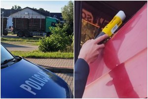 Lenkijos policijai įkliuvo du lietuviai, girti sėdę prie vairo – nuteisti žaibiškai