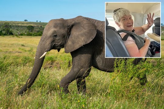 Senolės atostogos baigėsi tragedija: išsvajotą kelionę nutraukė dramblio išpuolis