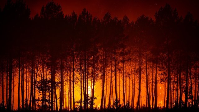 Nuo liepsnų ištrūkęs ispanas: „Nebuvau matęs tokio intensyvaus gaisro, Madride dar blogiau“