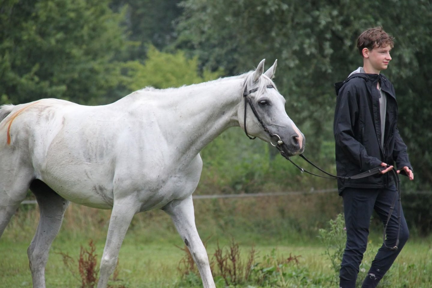 N. Vilbikas.