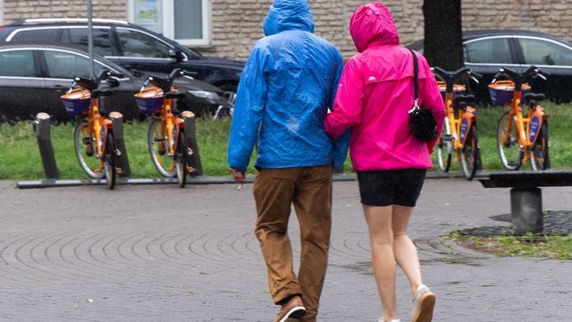 J. Šukevičienė, J. Sejonienė, A. Norkienė: ar premjeras apmokestins bevaikius?