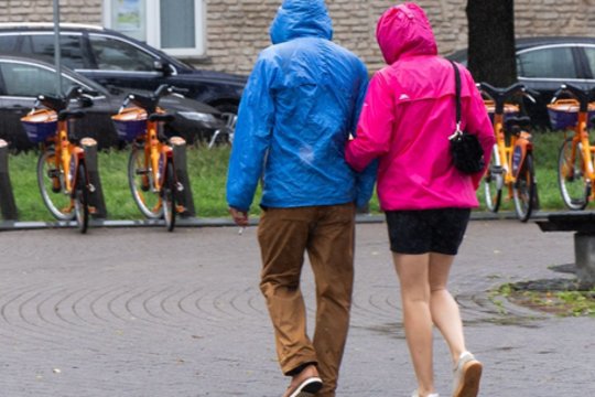 J. Šukevičienė, J. Sejonienė, A. Norkienė: ar premjeras apmokestins bevaikius?