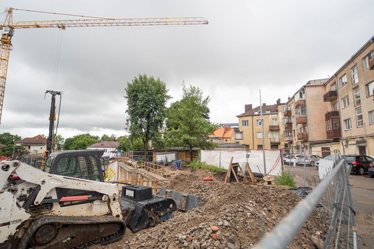 Istorinis Kauno ąžuolas dingo iš savo vietos: paaiškėjo, ką su juo padarė statytojai
