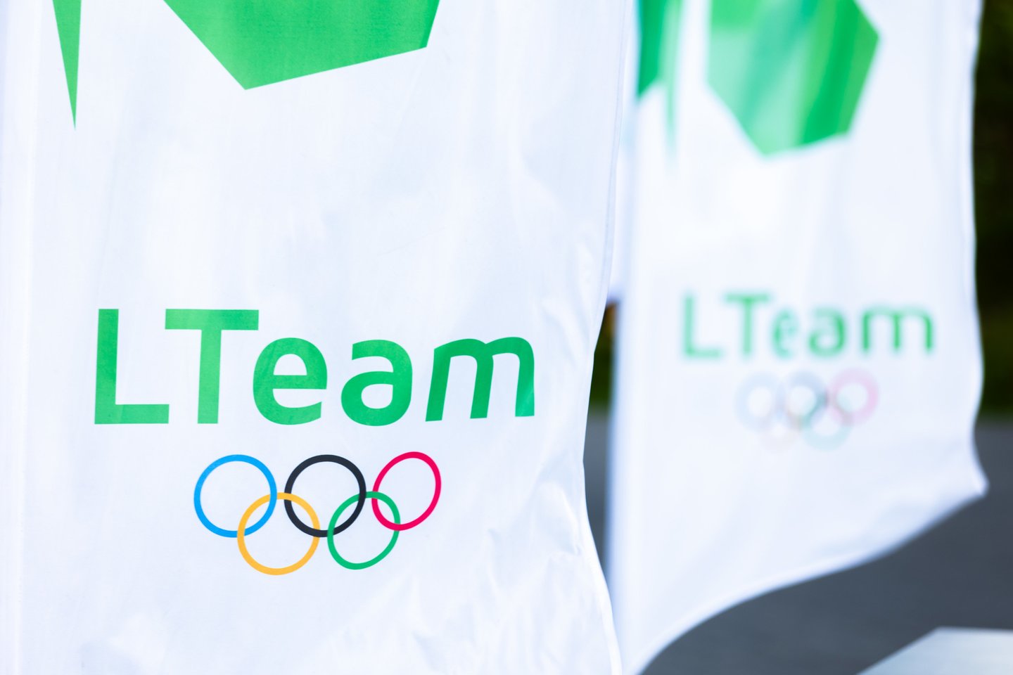 Lteam ženklas