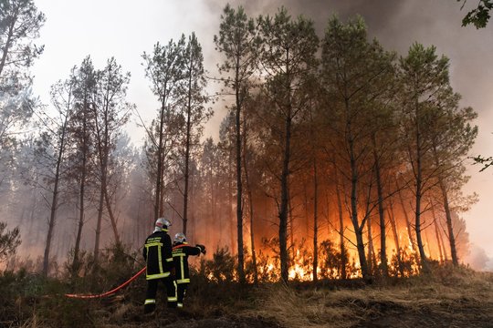 Keliuose Prancūzijos regionuose kilo nauji miškų gaisrai