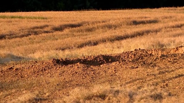 Paviešino milžiniško kraterio Lenkijoje vaizdo įrašą