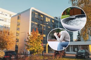 Gerbiamam mokslų daktarui – skandalingi kaltinimai seksualiniu priekabiavimu: darbuotojo liudijimai sukrečia