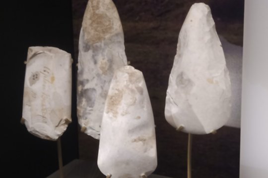 Vienas garsiausių bronzos amžiaus radinių verčia perrašyti istoriją: mokslininkai klydo 200 metų