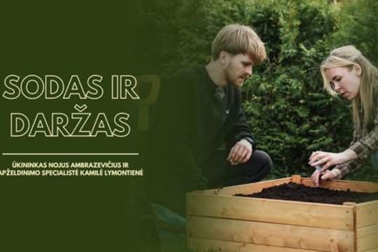 „Sodas ir daržas“ – ar Nojus įveikė bičių baimę? Pirmasis išbandymas dr. Algirdo Amšiejaus bityne