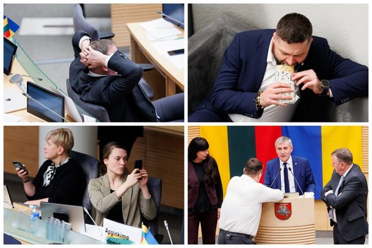 Seimo narių atostogų įteisinimas – ant svarstyklių: patys nesutaria, ar reikia