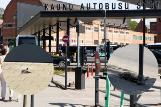 Kaunietis pratrūko dėl situacijos Vytauto pr.: „Reikia problemą spręsti iš pagrindų“