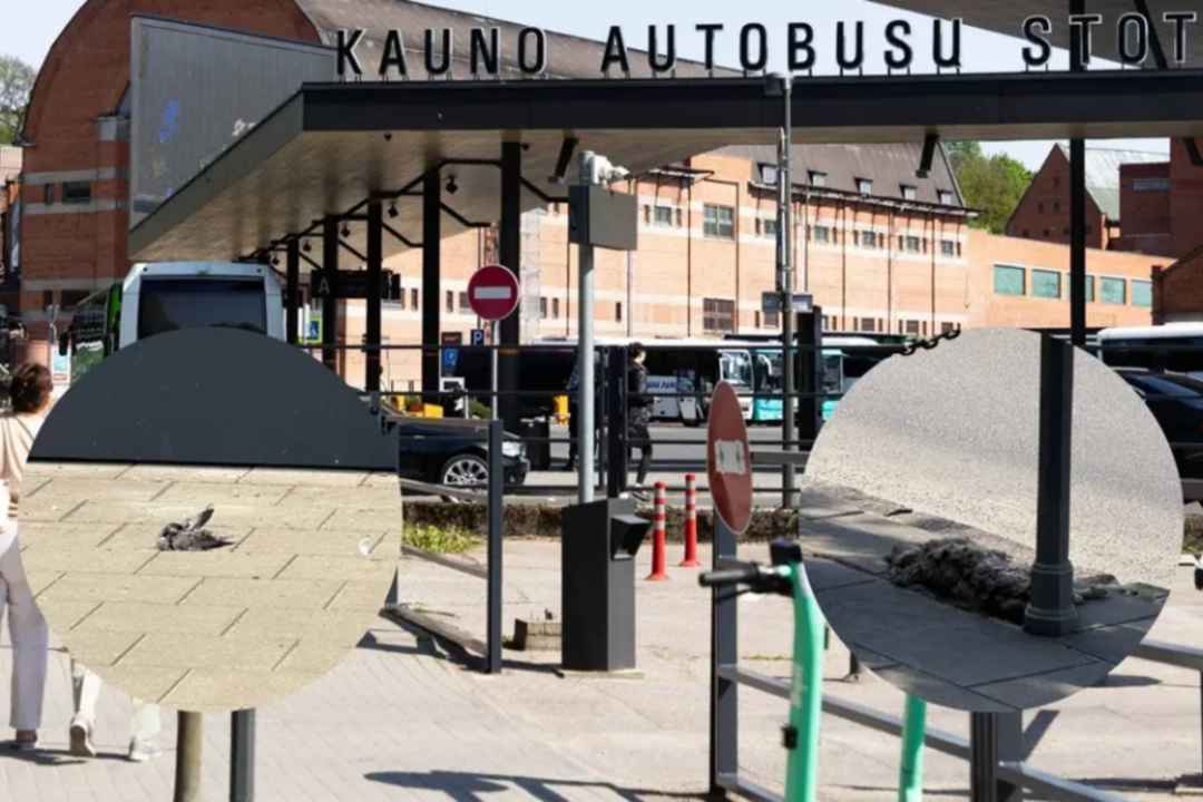 Kaunietis pratrūko dėl situacijos Vytauto pr.: „Reikia problemą spręsti iš pagrindų“