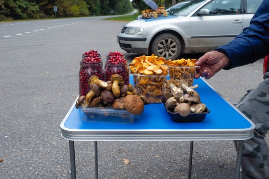 Mokestiniai ginčai pasiveja net grybautojus ir uogautojus: paaiškino, ką privalu žinoti visiems