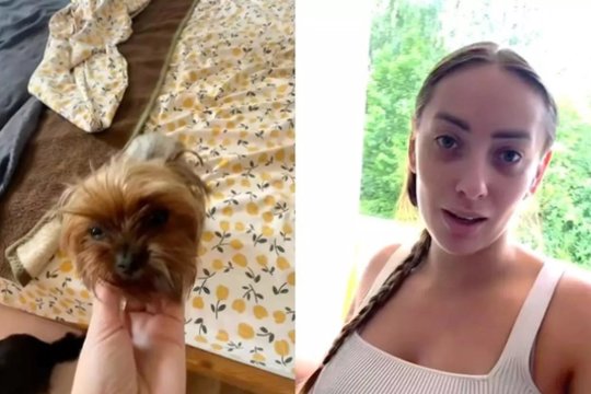 Ukrainietę papiktino kaimyno vokiečio skundas dėl šunų: socialiniuose tinkluose kilo audra