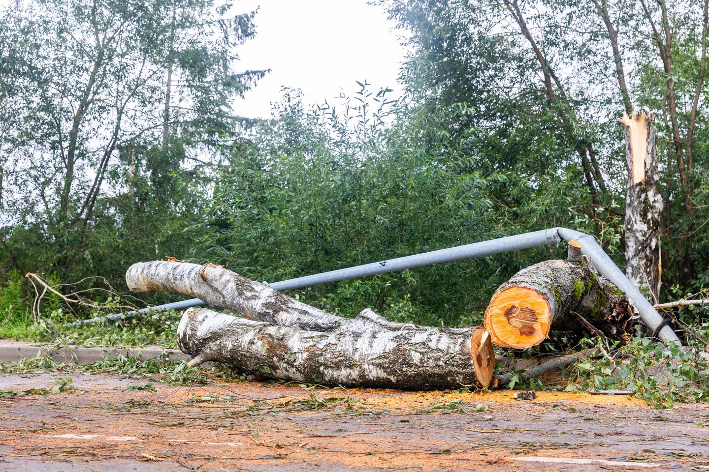 Audros padariniai Vilniuje. <br>G. Šileikaitės/ELTA nuotr.