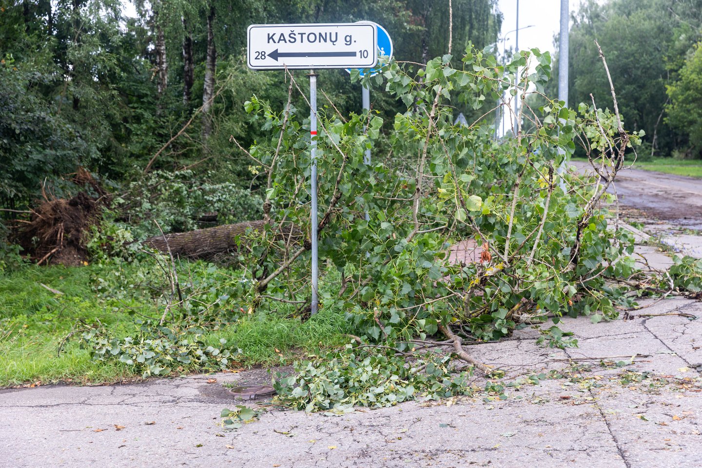 Audros padariniai Vilniuje. <br>G. Šileikaitės/ELTA nuotr.