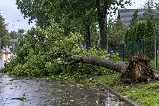 Įtemptas ugniagesių savaitgalis: gaisruose žuvo žmogus, ugniagesiai šalino audros padarinius