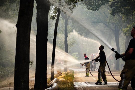 Prie Vokietijos sienos – didelis miško gaisras: kyla didžiuliai dūmų stulpai