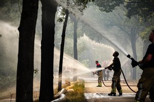 Prie Vokietijos sienos – didelis miško gaisras: kyla didžiuliai dūmų stulpai