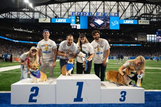 Nuo NFL stadionų iki Vingio parko: kokios yra Amerikos korgių lenktynės?
