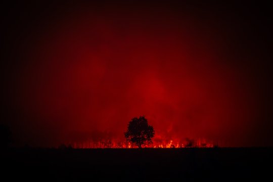 Miško gaisras Prancūzijoje atidengė dešimtis nesprogusių Antrojo pasaulinio karo sviedinių