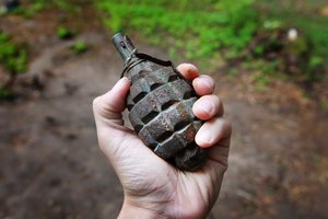 Vilniuje rastas revolveris, Birštone – šoviniai, o pievoje Vilniaus rajone – rankinė granata