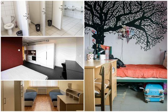 Bendrabučiai ruošiasi pirmakursių lietui: kai kuriems teks plačiau atverti pinigines