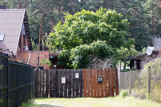 Vilniečių sklypuose – pavojingas įsibrovėlis: savivaldybė pradėjo specialią operaciją