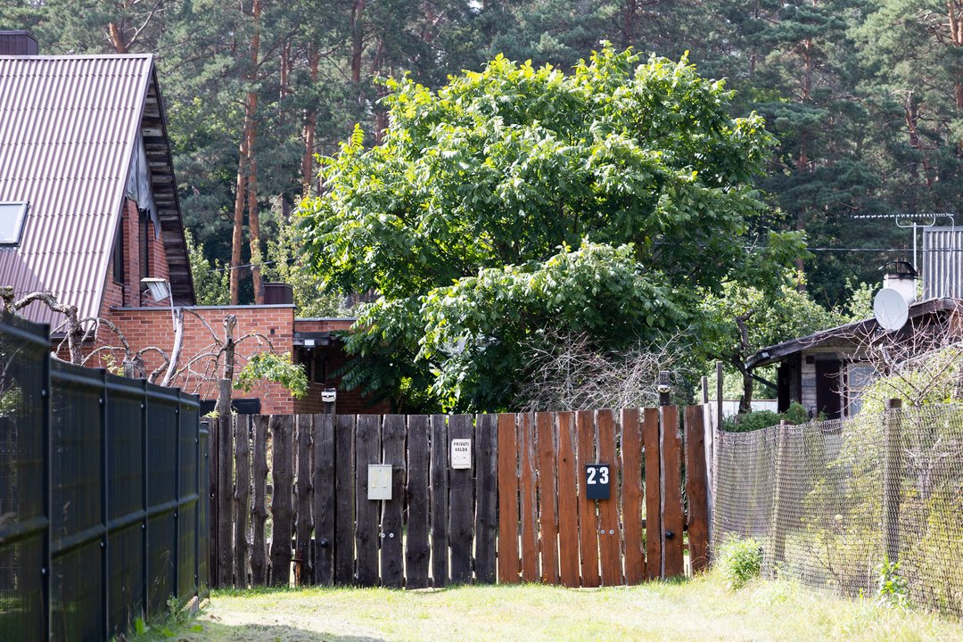 Vilniečių sklypuose – pavojingas įsibrovėlis: savivaldybė pradėjo specialią operaciją