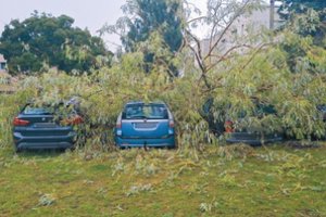 Stiprus vėjas sumaitojo penkis automobilius: savininkams – vienas kelias