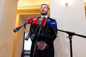 Demokratų lyderis: dalies valstybių raginimai šalinti Ispaniją iš Šengeno – populizmas