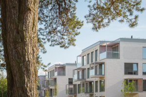Survey: Vilnius residents to buy newer, larger, and more expensive homes
